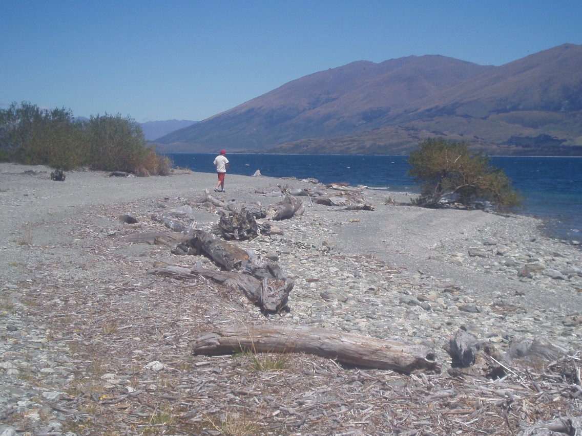 146   25 01   Fox Glacier   Oamura